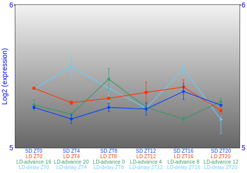 Expression graph