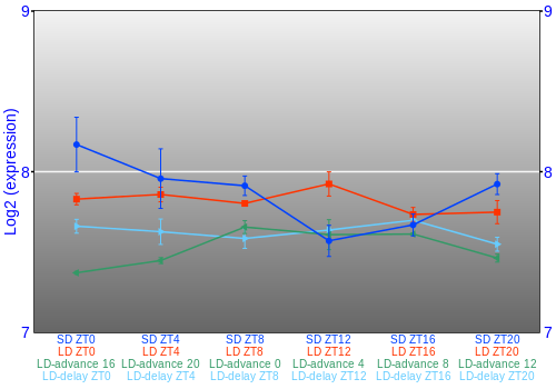 Expression graph
