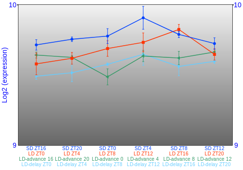 Expression graph