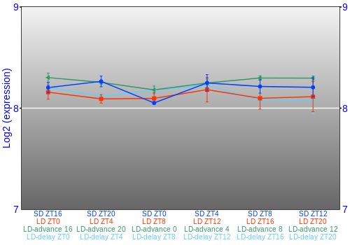 Expression graph