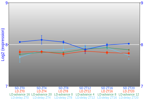 Expression graph