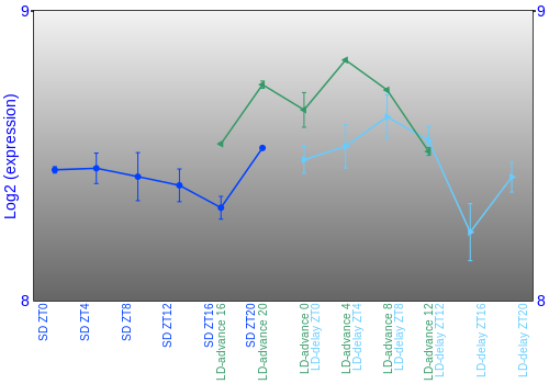 Expression graph