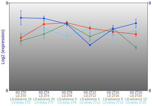 Expression graph