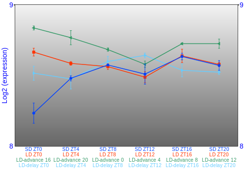 Expression graph