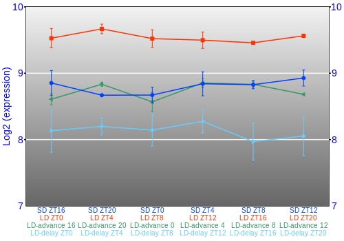 Expression graph