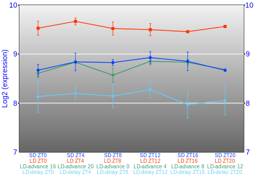 Expression graph