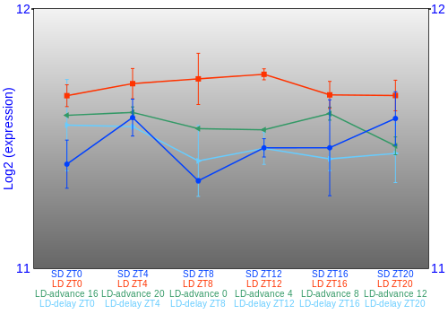 Expression graph