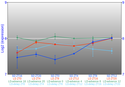 Expression graph