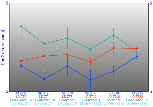 Expression graph