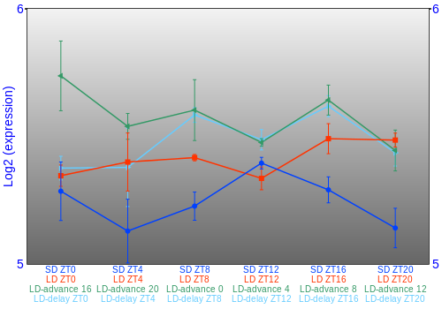 Expression graph