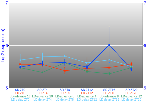 Expression graph