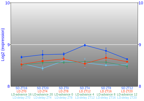 Expression graph