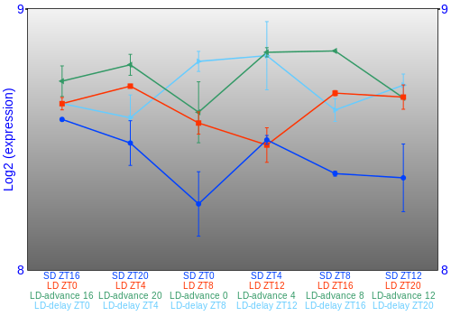 Expression graph