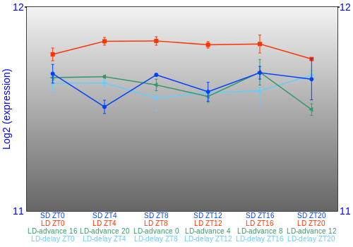 Expression graph