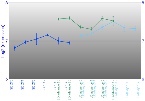 Expression graph