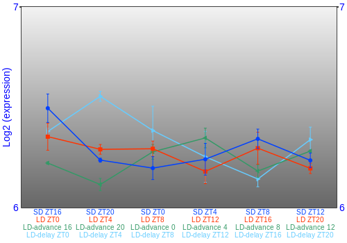 Expression graph