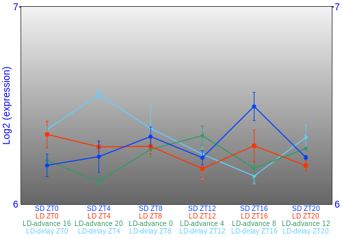 Expression graph