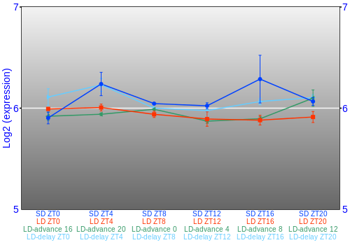 Expression graph