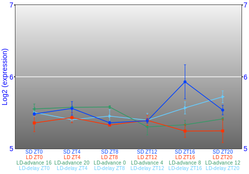 Expression graph