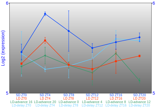 Expression graph