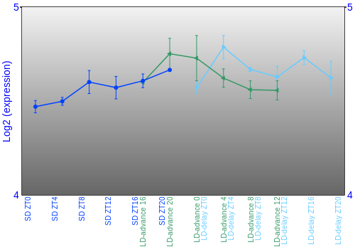 Expression graph