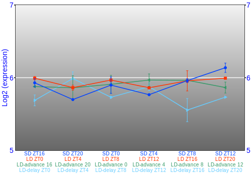 Expression graph