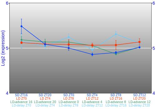 Expression graph