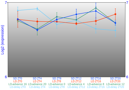 Expression graph