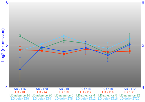 Expression graph