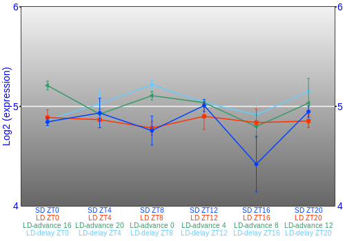 Expression graph