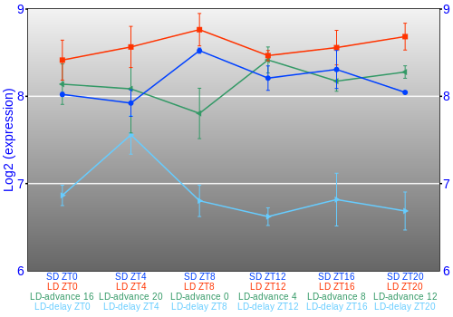 Expression graph