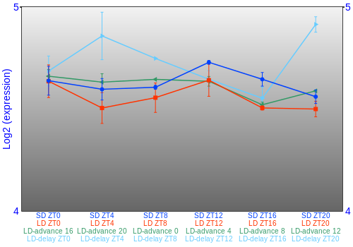 Expression graph