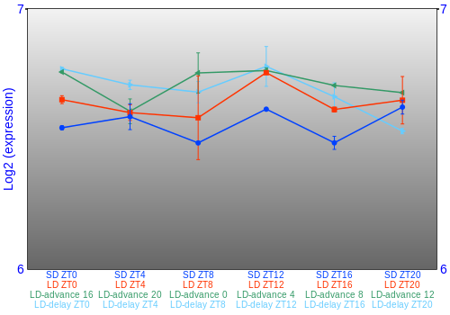 Expression graph