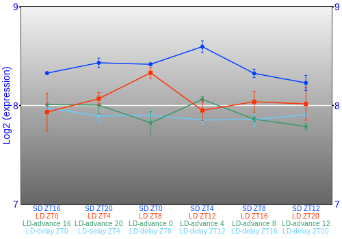 Expression graph
