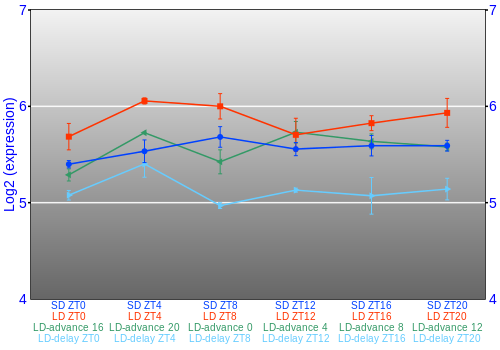 Expression graph