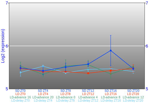 Expression graph