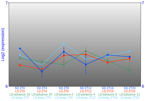 Expression graph