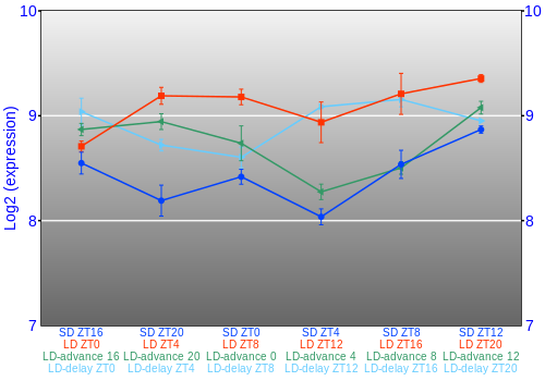 Expression graph