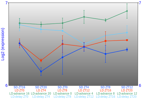 Expression graph