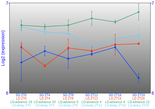 Expression graph