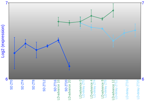 Expression graph