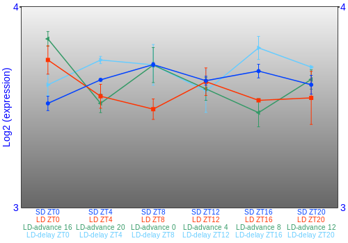 Expression graph