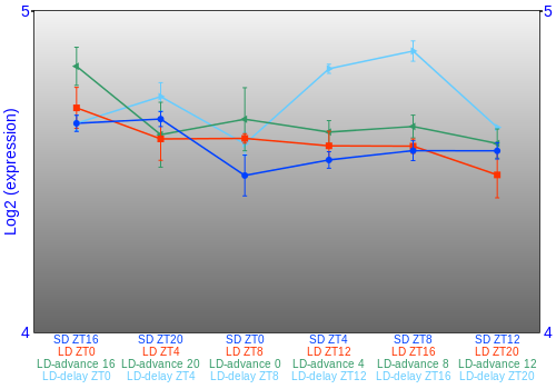 Expression graph