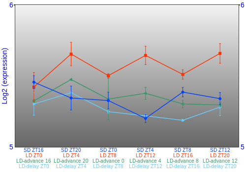 Expression graph