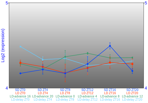 Expression graph