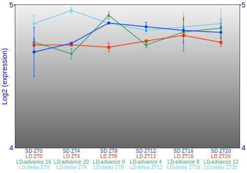 Expression graph
