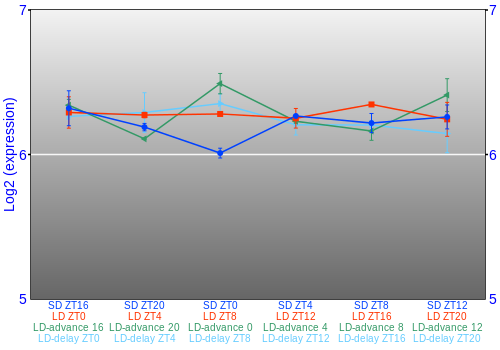 Expression graph