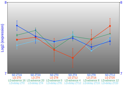 Expression graph