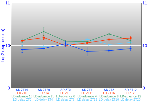 Expression graph