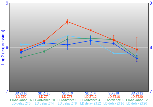 Expression graph